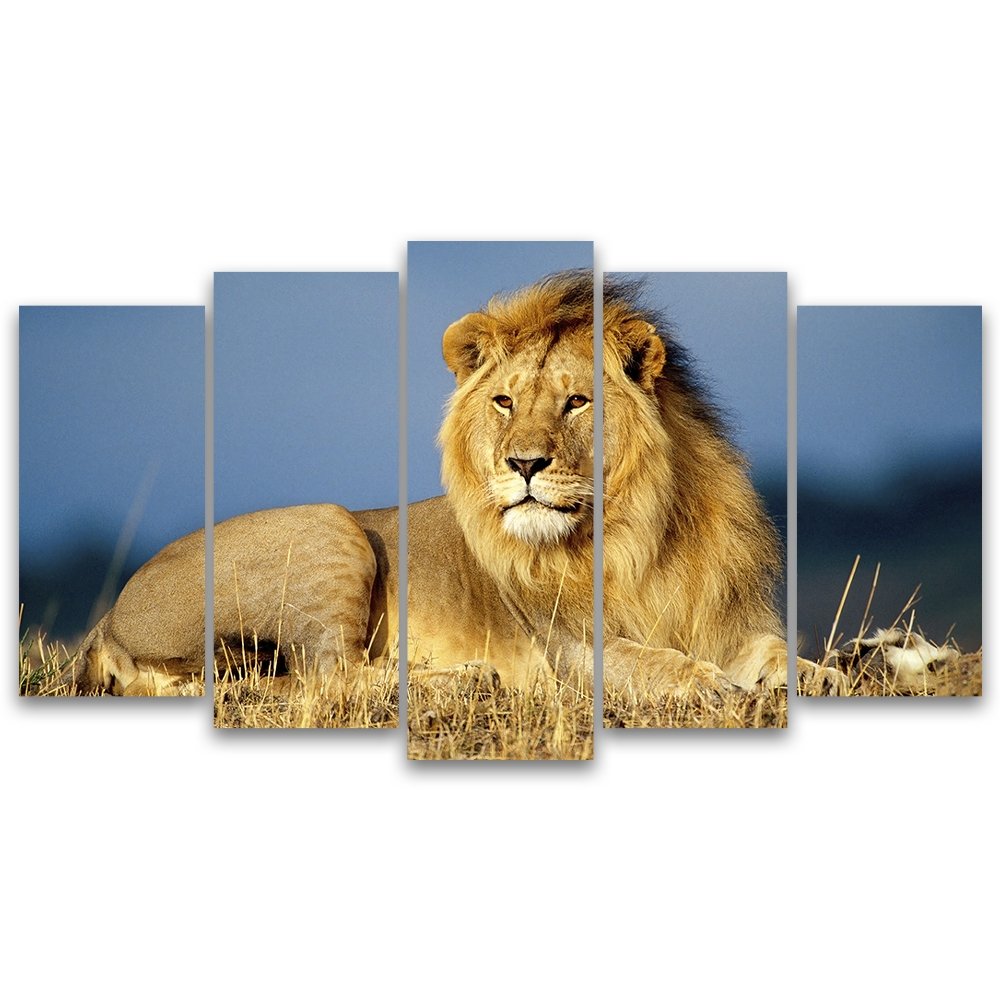 Quadros Decorativos Mosaico 5 Peças O Rei e o Leão 115x60 – Edel Quadros