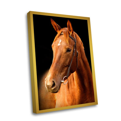 Quadro Decorativo - Cavalo Marrom
