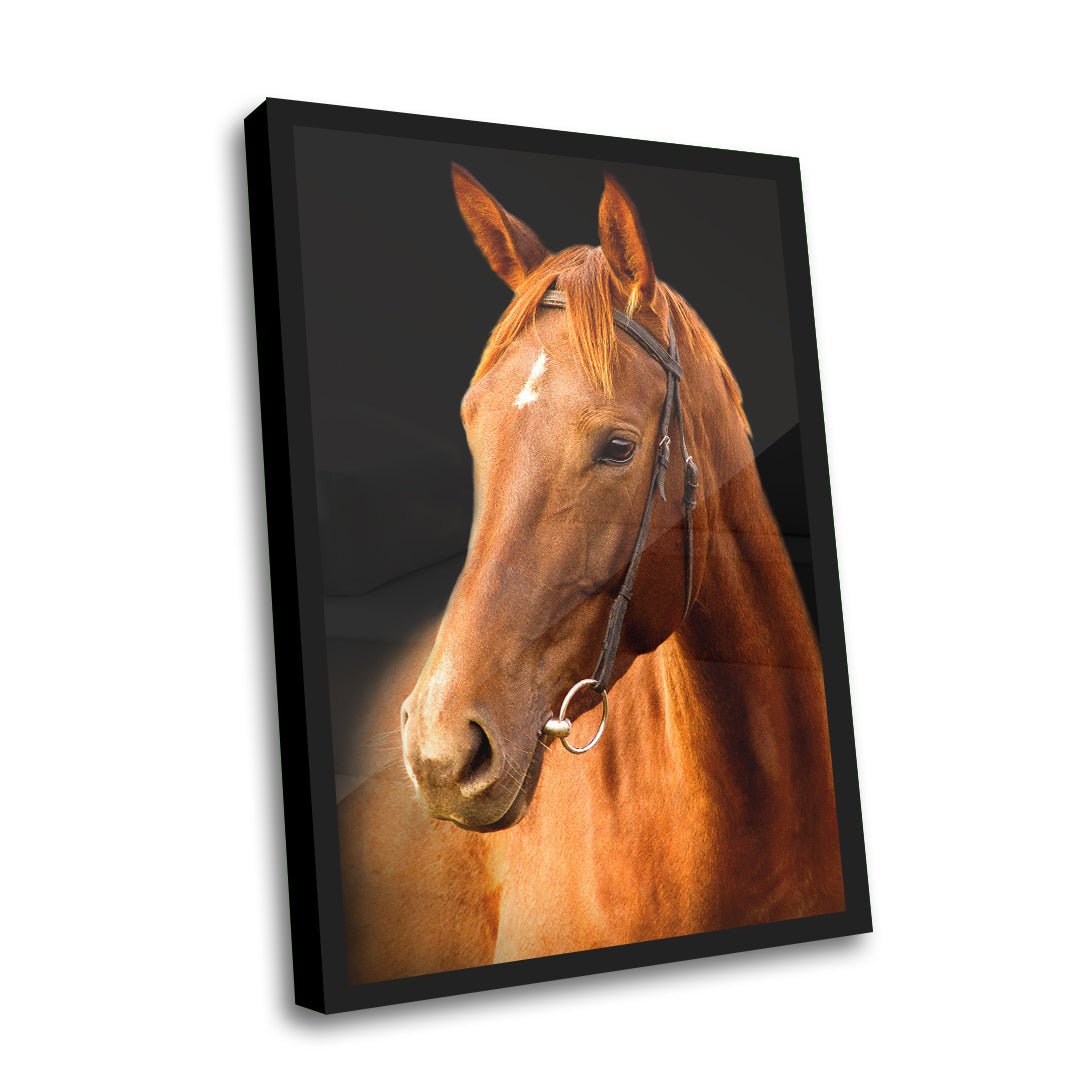 Quadro Decorativo - Cavalo Marrom