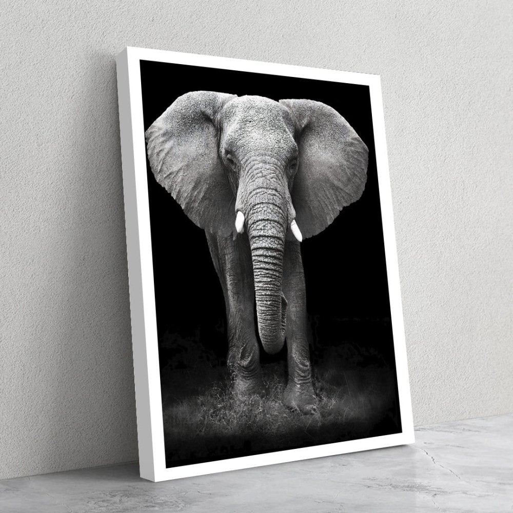 Quadro Decorativo - Elefante